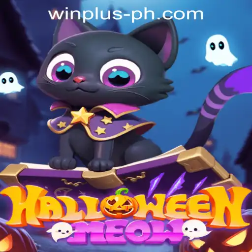HalloweenMeow: A Spooktacular Adventure Packed with Purrs and Prizes